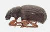 Strophosoma melanogrammum